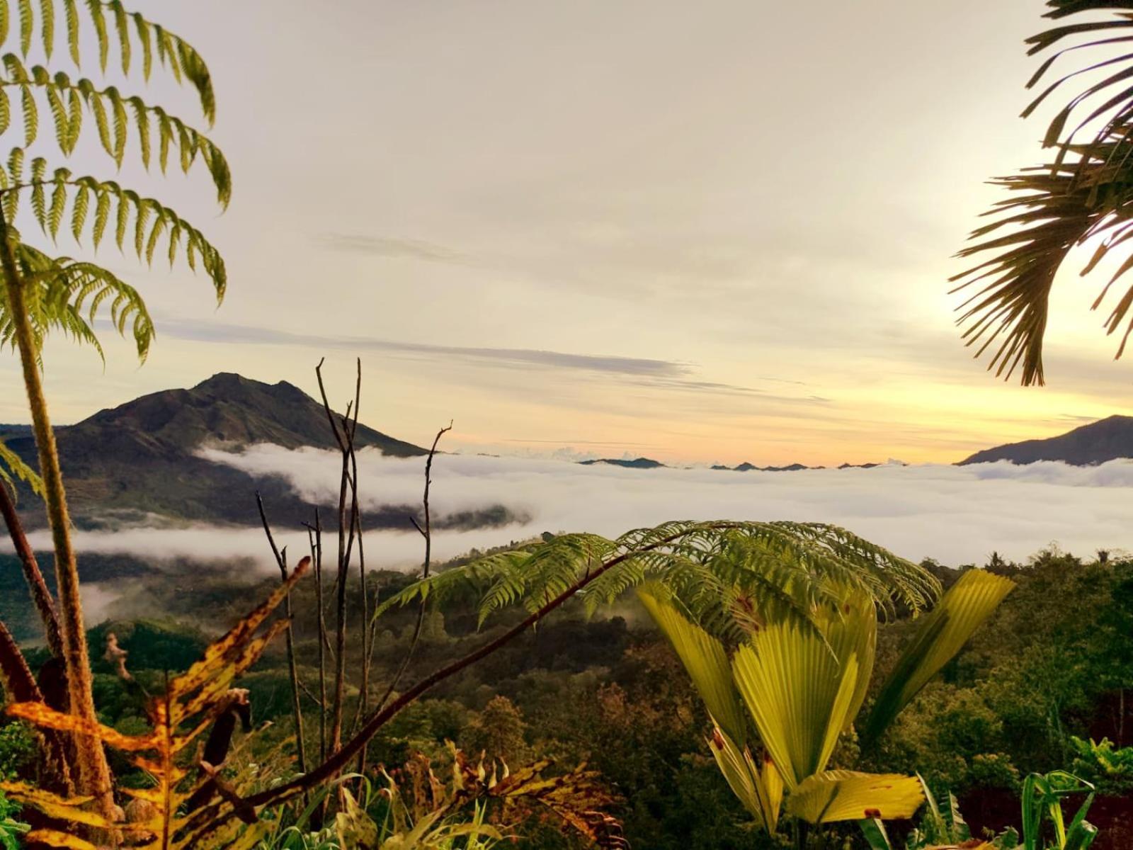 Batur View Homestay - Loft Kintamani Buitenkant foto